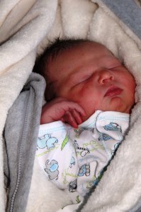 The beautiful Anadella