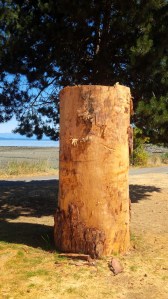 Unexplored possibility