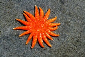 Sometimes it is hard to believe what nature creates