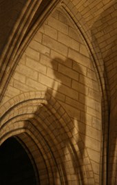 Sometimes we see only the shadows of angels