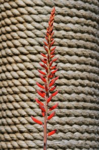 Release our bindings and renew!