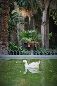 Centering with nature